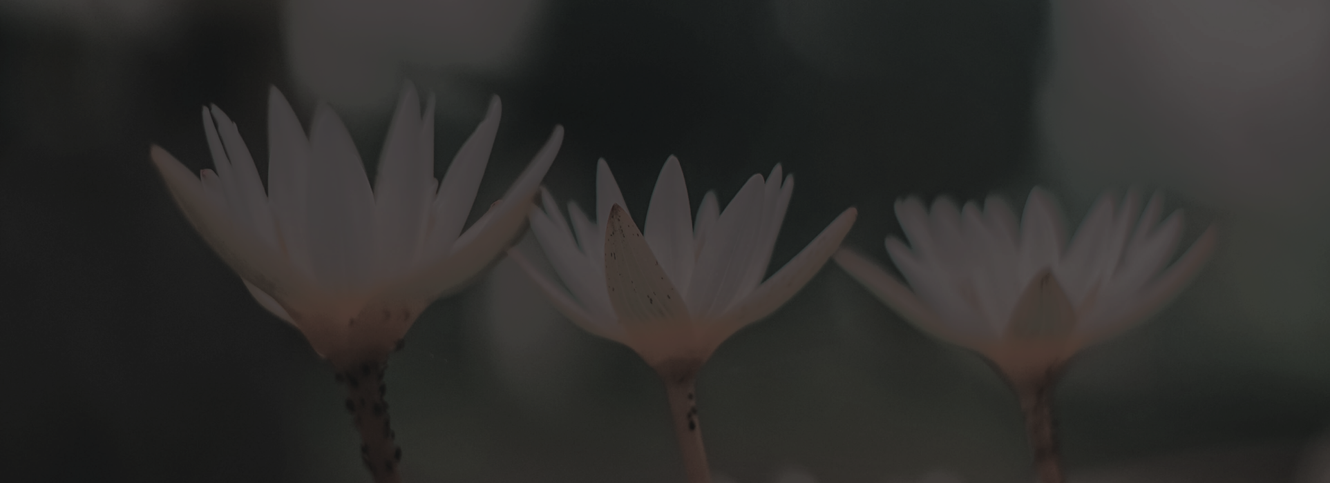 Retreat - In Verwondering